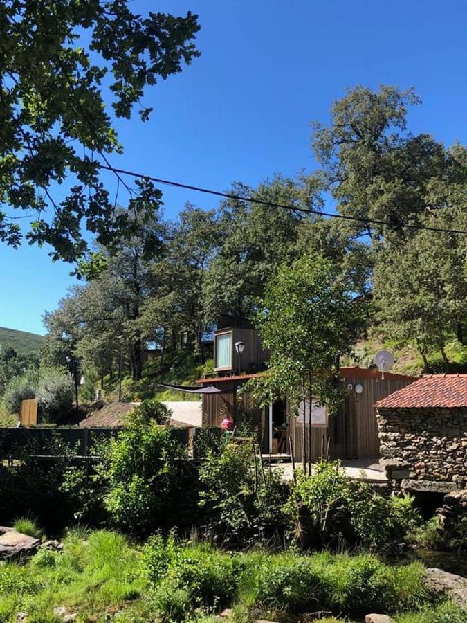 Ninho Da Avo Selvagem Villa Montalegre Bagian luar foto